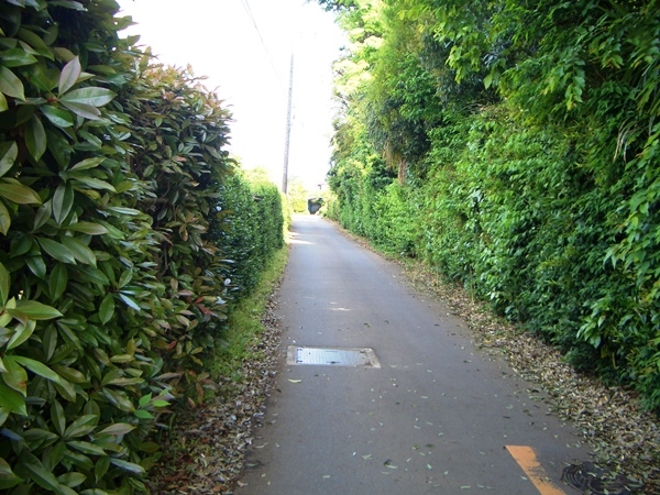 自転車で走ろう寒川(その１：…寒川神社…念宗寺…岡田遺跡…)_d0239667_20455812.jpg