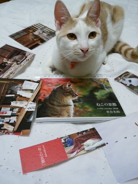 予防シーズン始まっています。_e0367571_20521650.jpg