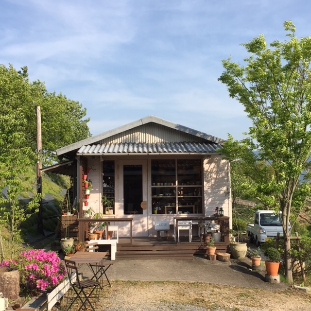『波佐見焼』の器が入荷しています。_c0334574_17023745.jpg