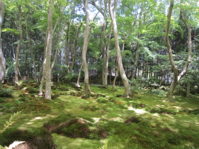 新緑の京都庭園めぐり（20170507～10）_a0308789_09374608.jpg