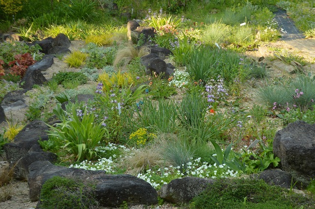 食欲の春に植花夢さんへ_a0233896_14512286.jpg