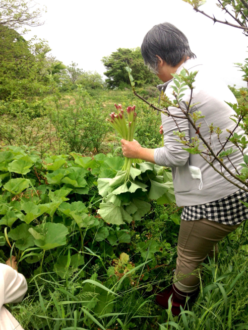 御崎の山椒 を訪ねて_e0188897_22021090.jpg