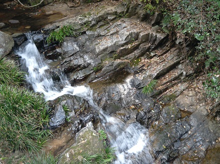 f0371014_06444057.jpg