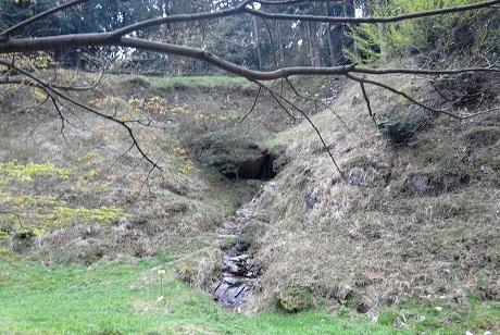 f0371014_06481989.jpg