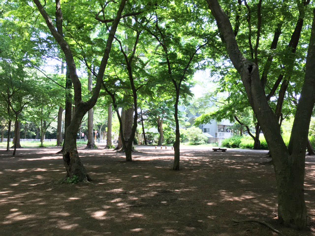 モーニングガレット @ うさぎ館 井の頭公園_e0208519_12432990.jpg