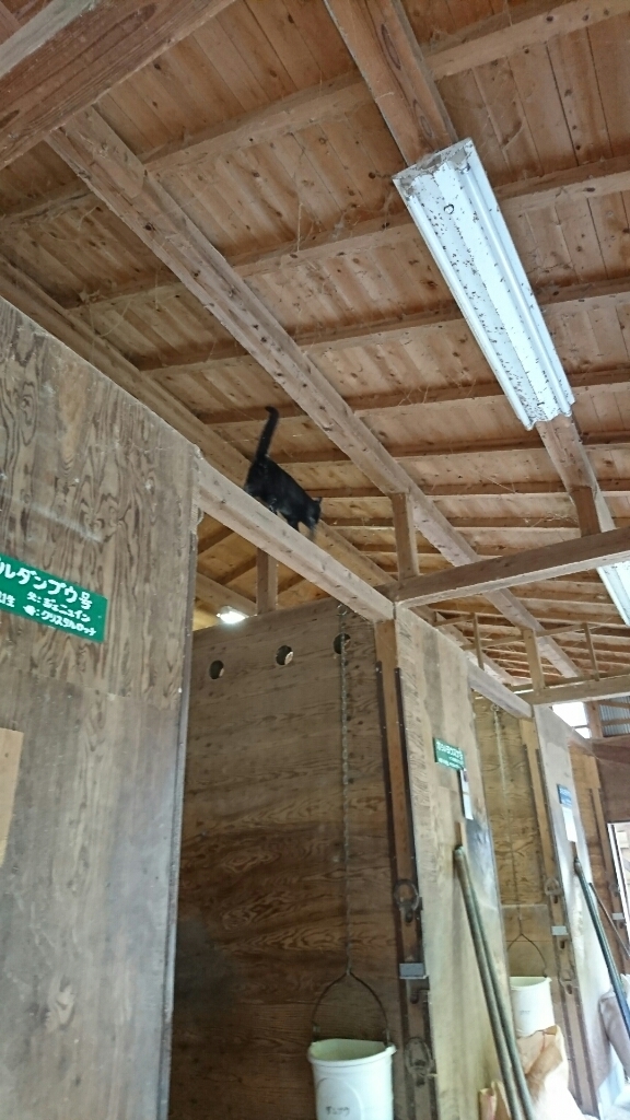 b0187620_20464489.jpg