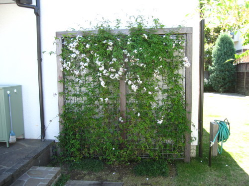 e0350927_10365037.jpg