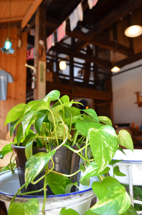 晴れ!_b0207642_11575438.jpg