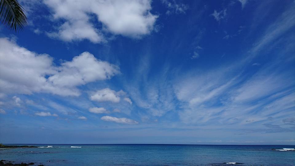 f0363156_01463013.jpg