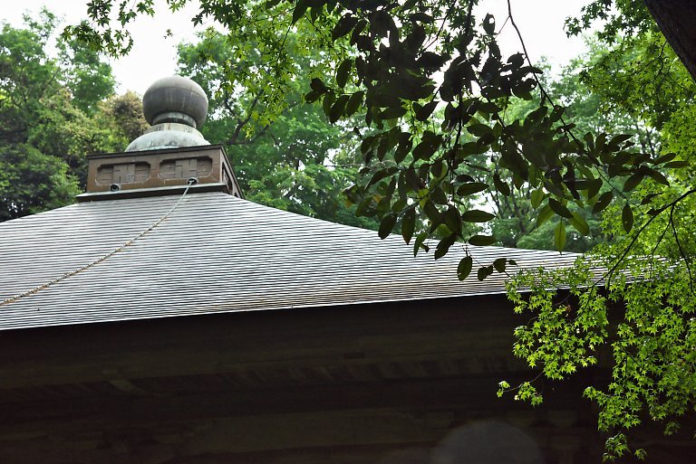 妙法寺（５月１０日）_c0057265_13415521.jpg