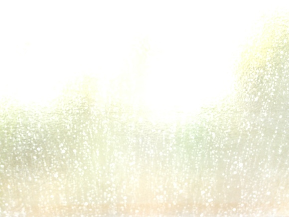 ホッと一息  幸せの雫***_e0290872_12160194.jpg