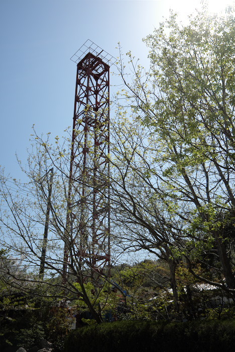 b0339488_20012767.jpg