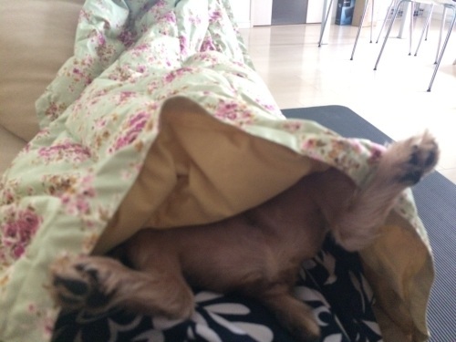 b0343092_00525043.jpeg