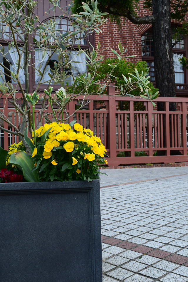 神戸市北野町の風見鶏の館(明治モダン邸宅再訪)_f0142606_11062183.jpg
