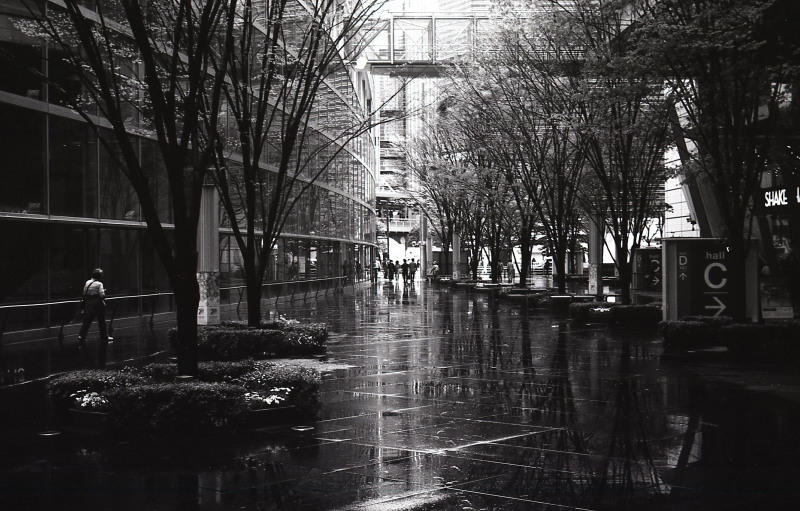 d0339617_21260244.jpg