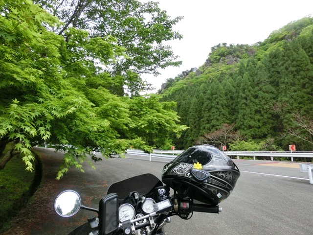 d0221319_10362899.jpg