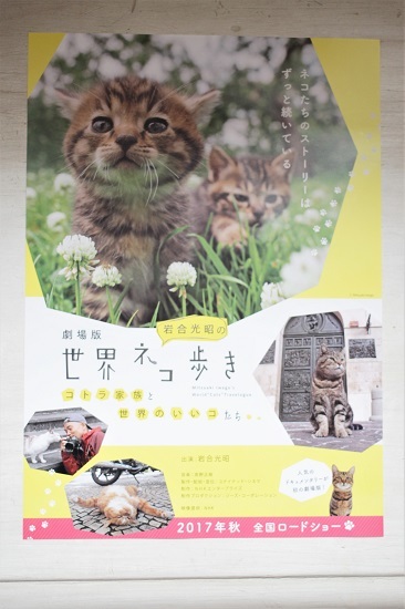 岩合さん写真展「ねこの京都」行ってきました_e0364523_11311783.jpg