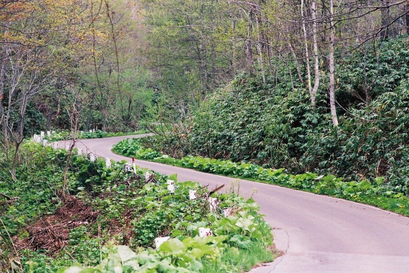 f0362725_20575119.jpg