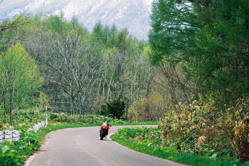 f0362725_20581802.jpg