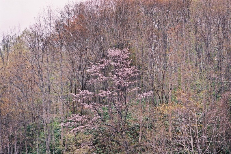 f0362725_20584041.jpg