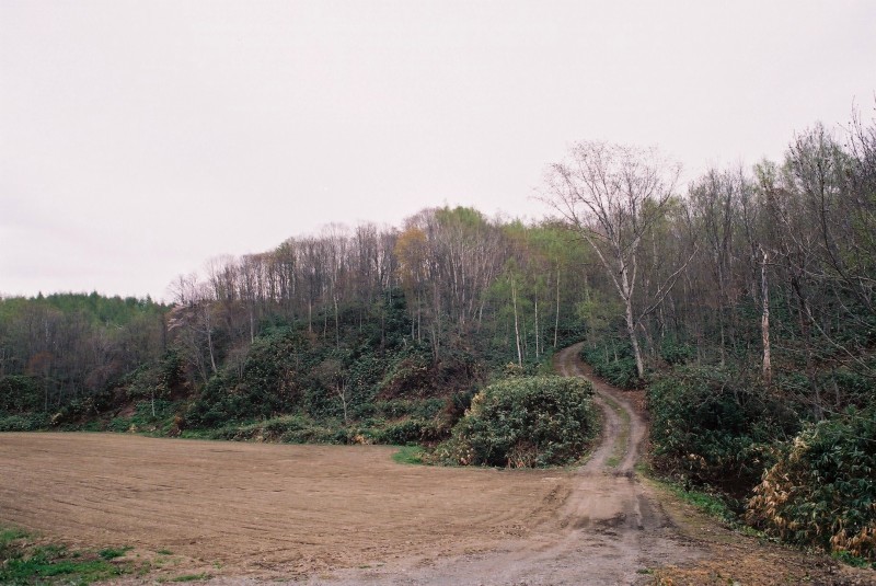 f0362725_20591919.jpg