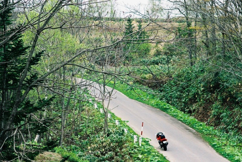 f0362725_20595601.jpg