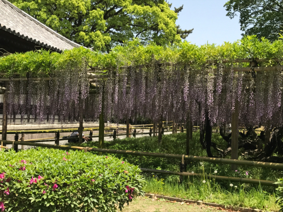 c0139629_13302451.jpg