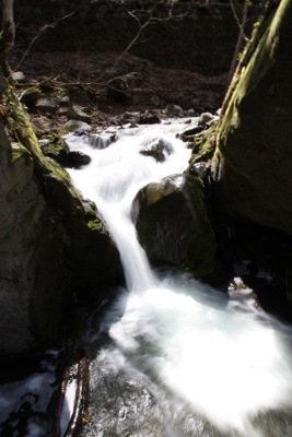 e0206433_20185216.jpg