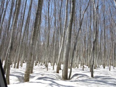 e0206433_20193106.jpg