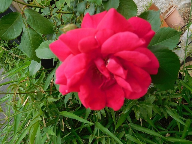 c0343734_00484509.jpg