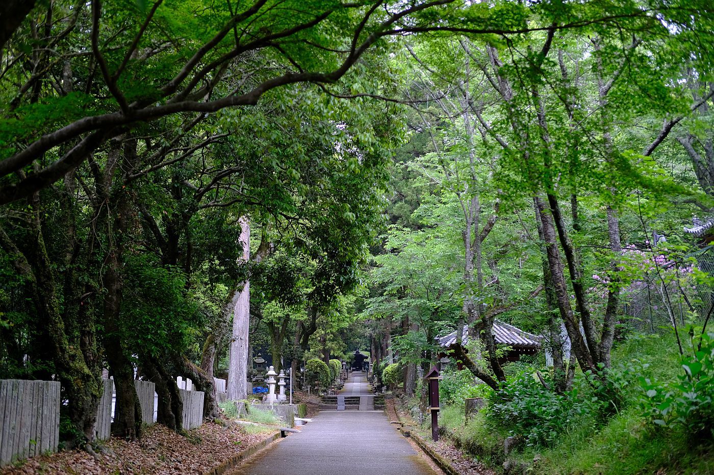 史跡　【根来寺　庭園】　画像　_b0212342_09444266.jpg