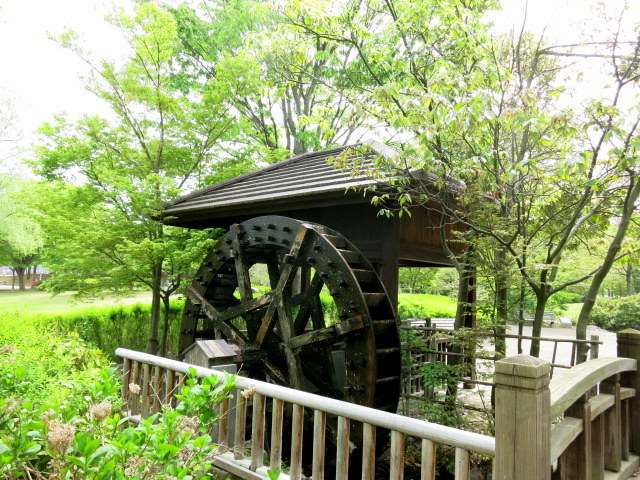 GW・プチトリップ ＊ ⑤新緑の小布施ハイウェイオアシス 公園_f0236260_04451917.jpg