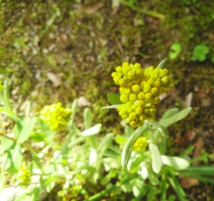 b0368362_20555955.jpg