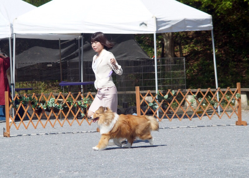 神奈川むさしの合同展_f0126965_09111778.jpg