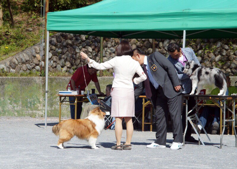 神奈川むさしの合同展_f0126965_09111846.jpg