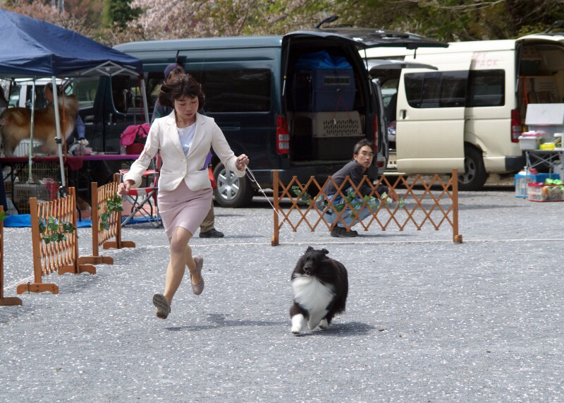 神奈川むさしの合同展_f0126965_09111876.jpg