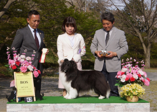 神奈川むさしの合同展_f0126965_09112044.jpg