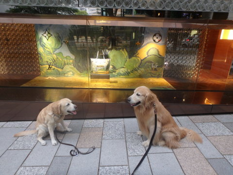 f0052277_02264200.jpg