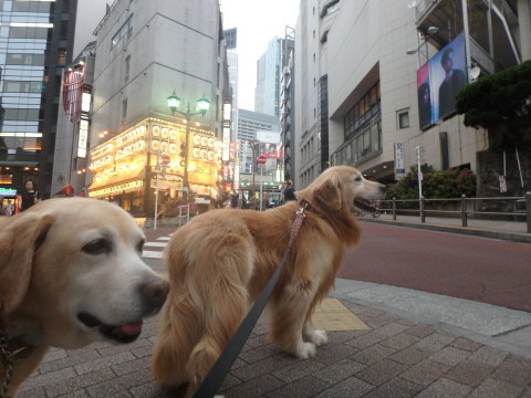 f0052277_02282029.jpg