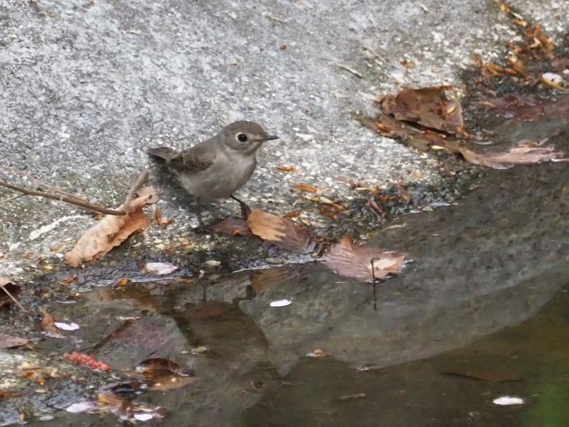f0372177_14384737.jpg