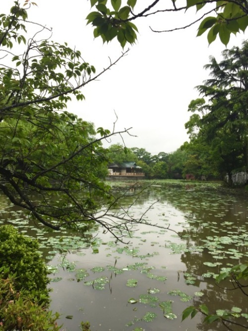 鎌倉心景「冷たい雨」_a0135581_21021448.jpg