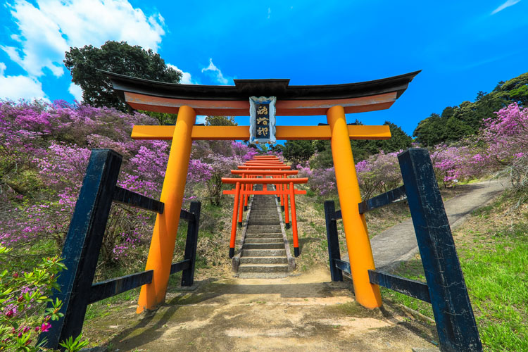 獅子崎稲荷神社 京都写真 Kyoto Photo 獅子崎稲荷神社 京都写真 Kyoto Photo
