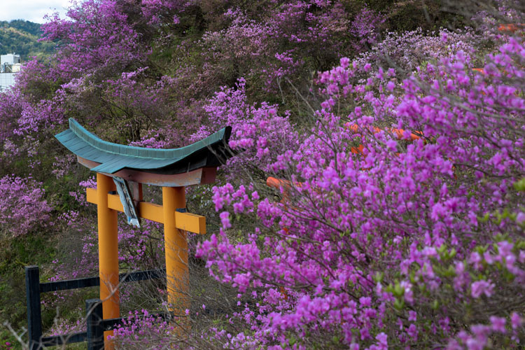 獅子崎稲荷神社_e0051888_0155012.jpg