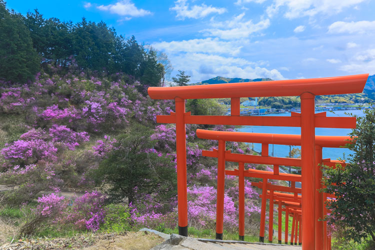 獅子崎稲荷神社 京都写真 Kyoto Photo 獅子崎稲荷神社 京都写真 Kyoto Photo