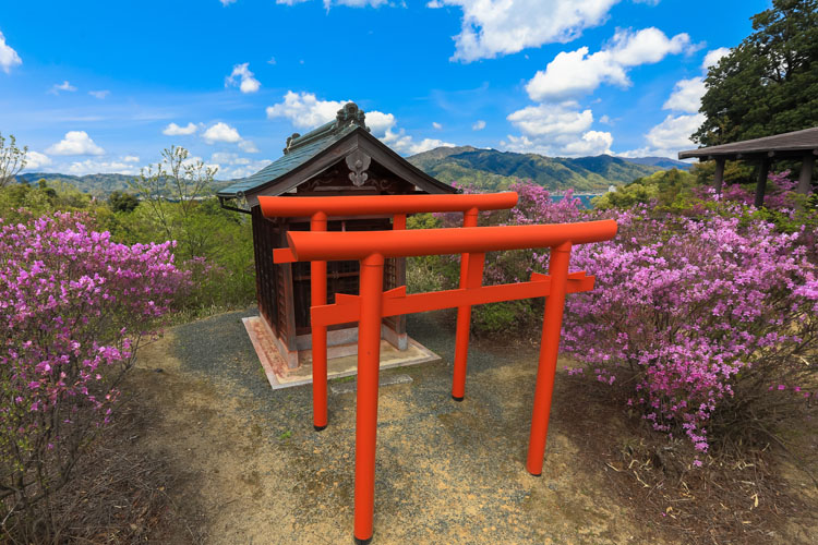 獅子崎稲荷神社_e0051888_0172034.jpg