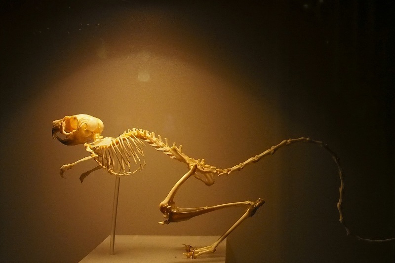 e0348392_16295204.jpg