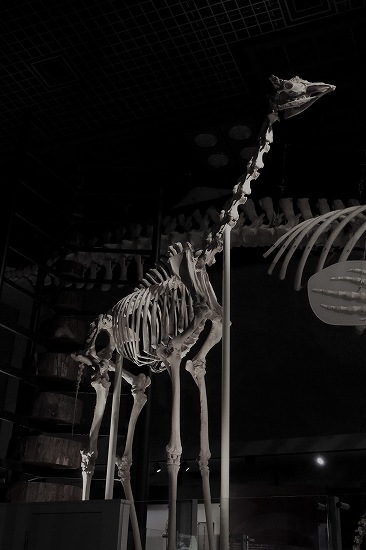 e0348392_16300807.jpg