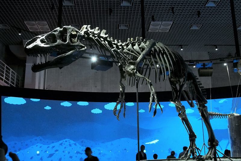e0348392_16305478.jpg