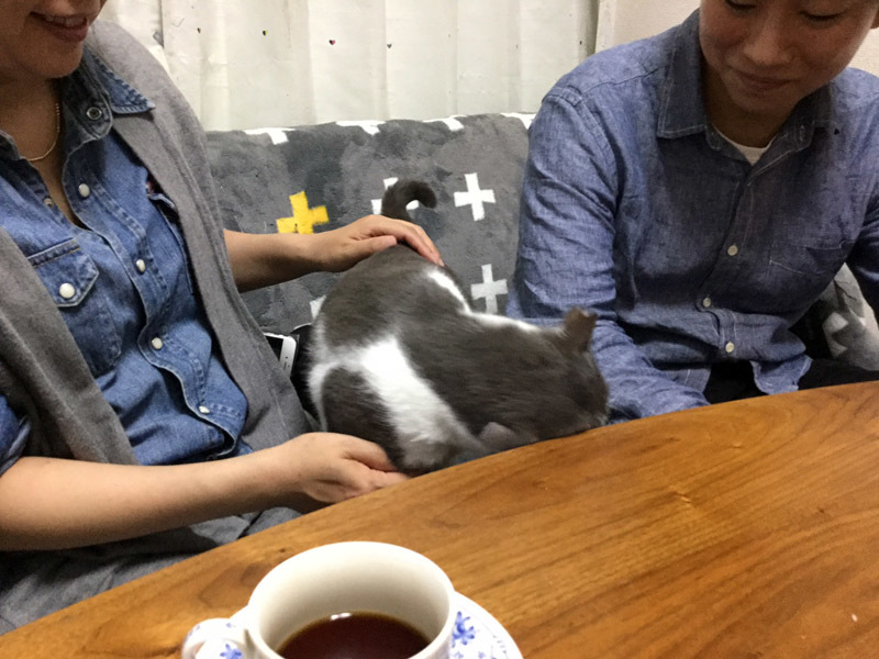 【里親決定の猫】今日も一匹決まりました。黒仔猫。_a0170297_21584016.jpg