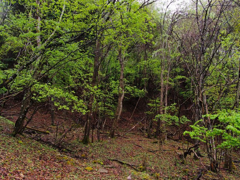 d0143700_01203431.jpg